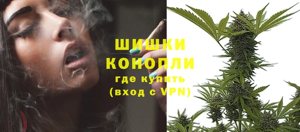 стафф Горняк
